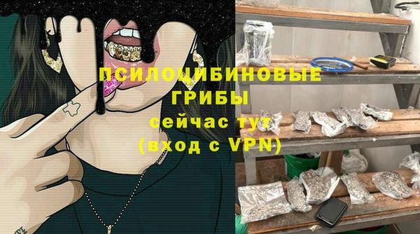 ECSTASY Лагань