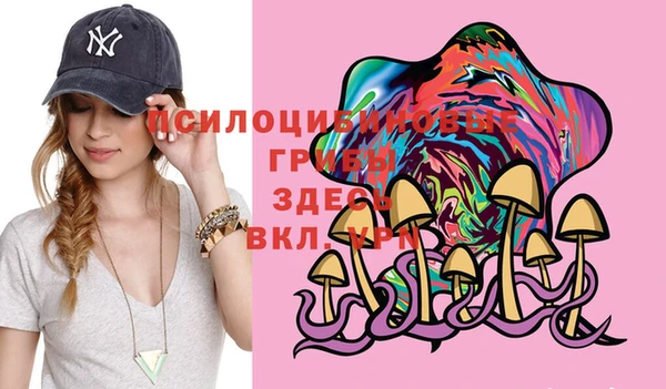 ECSTASY Лагань
