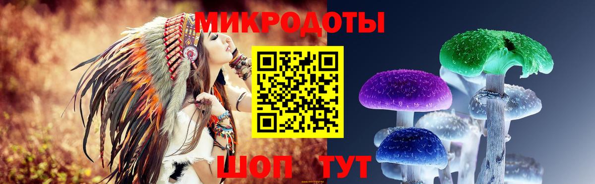 Псилоцибиновые грибы мицелий Нижневартовск